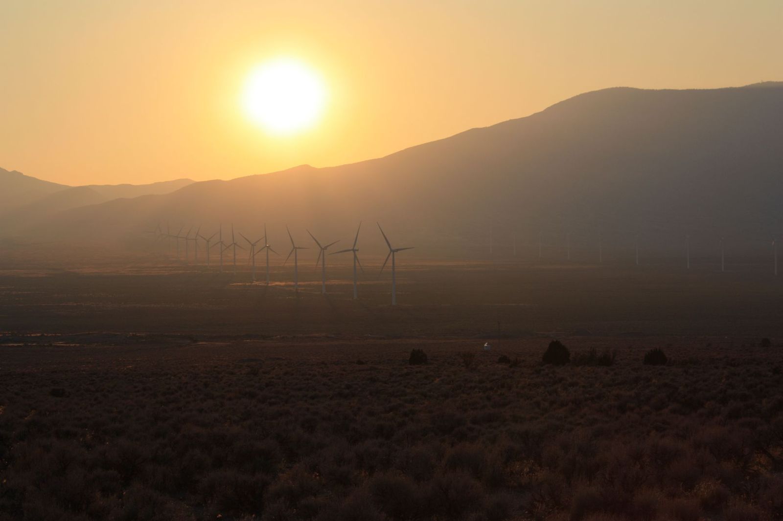 Wind turbines in the Nevada desert at dusk
