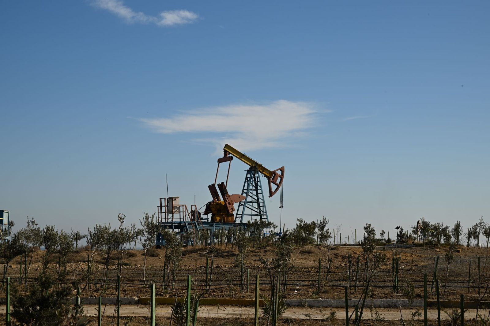 Oil pump jack in a field at dusk