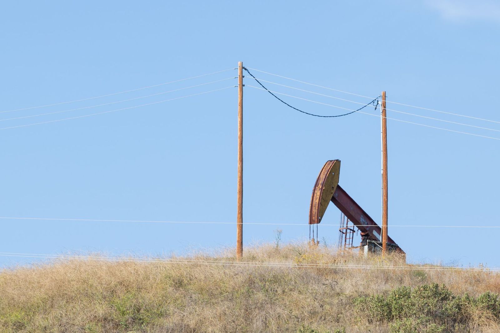 Oilfield pump jacks in a field