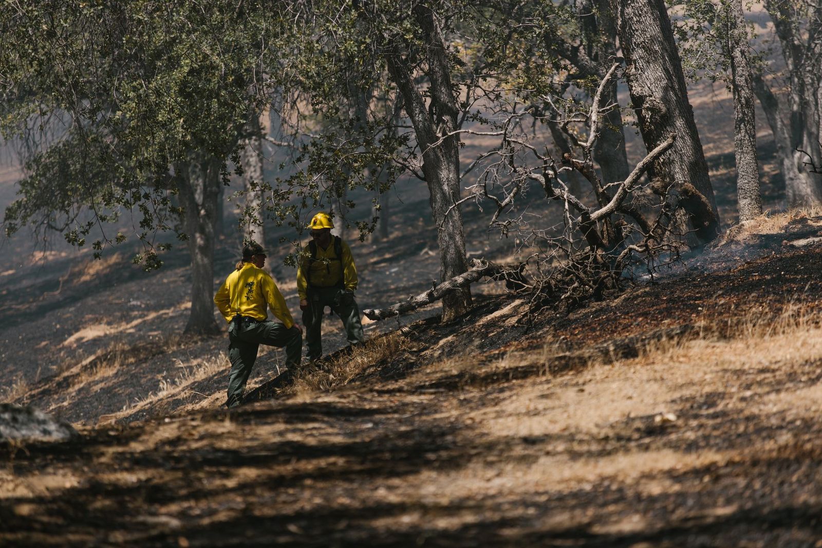Wildland fire hand crew on a fireline trail